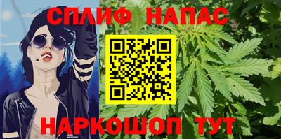 дмт Новодвинск