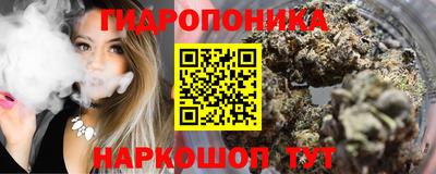 дмт Новодвинск