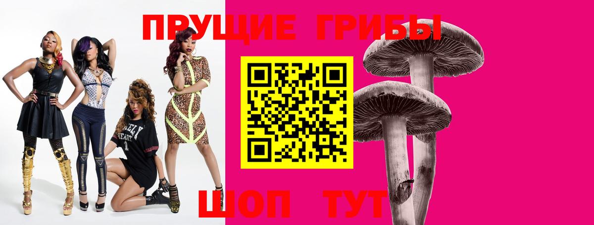 Советск  как найти   Вход с VPN  Псилоцибиновые грибы Psilocybine cubensis 