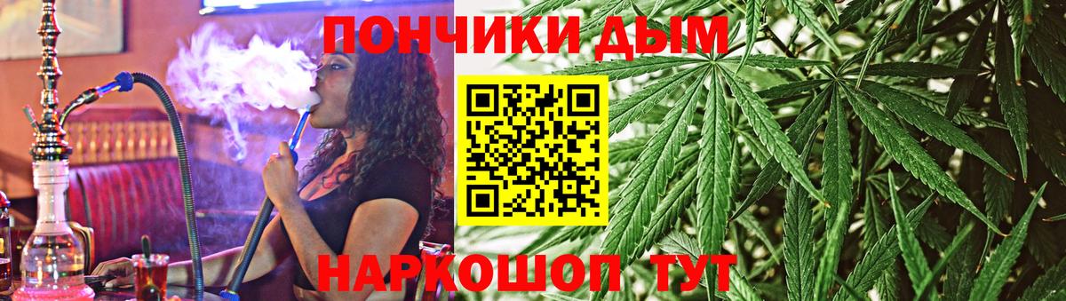 Каннабис конопля Советск